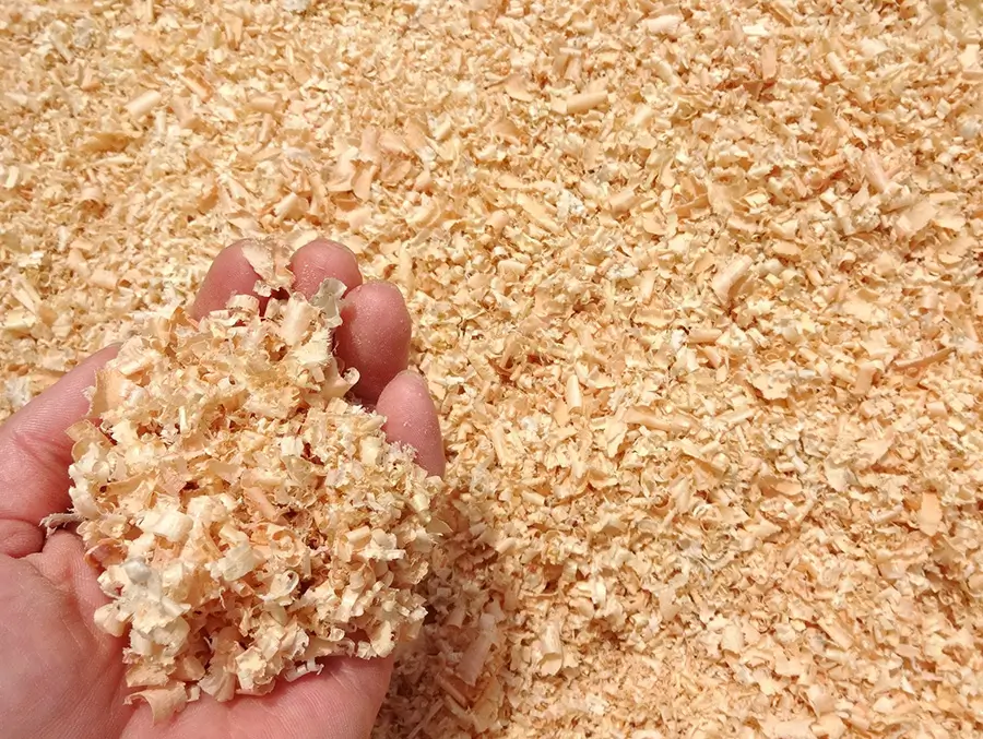 Cận cảnh mùn cưa phát sinh trong quá trình chế biến gỗ