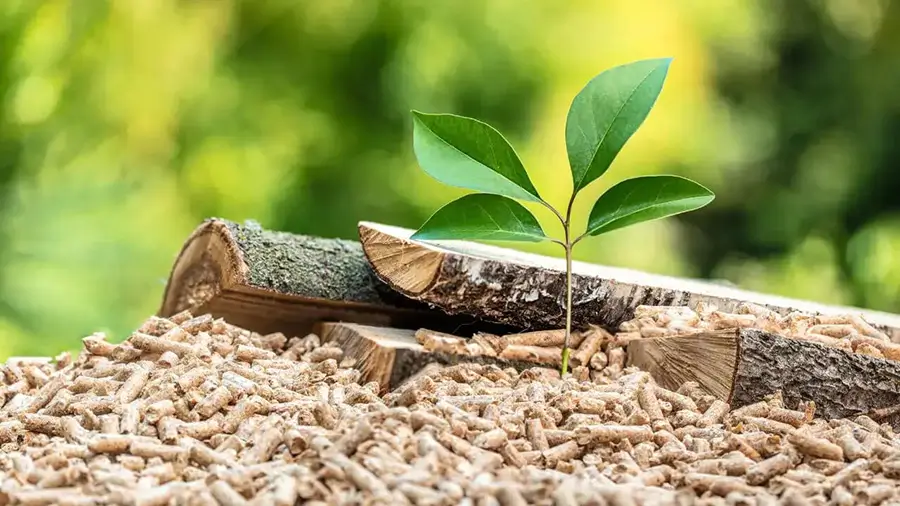 Viên nén gỗ là gì và được sản xuất từ những nguyên liệu nào?